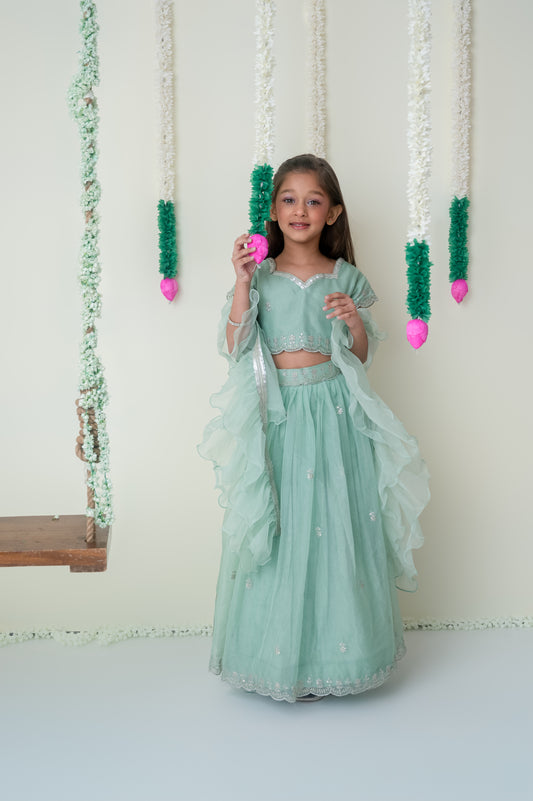 Emerald Grace - Embroidered Organza Ghagra Set