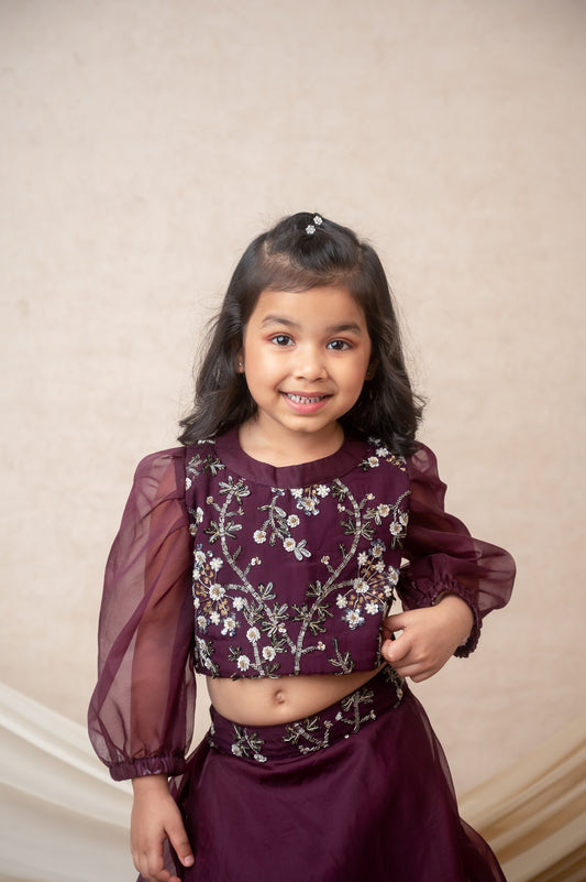 Vine Organza Skirt Set with Embroidered