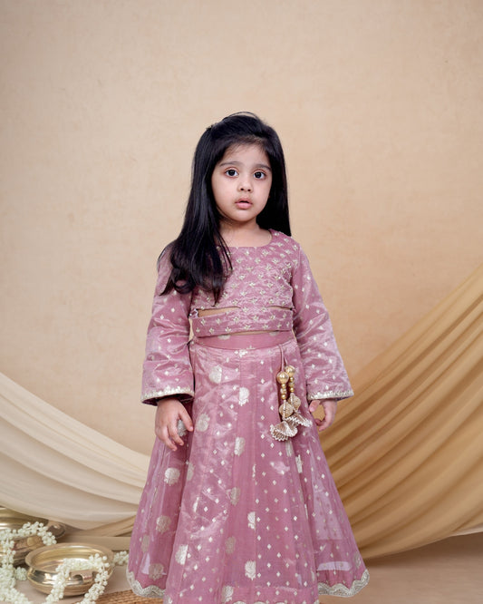 Onion Pink Banarasi Charm Ghagra Set