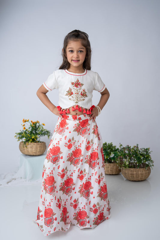 Red & Ivory Hand-Embroidered Chanderi Top with Floral Skirt