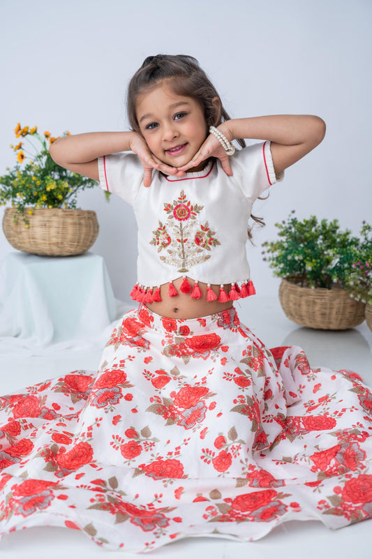 Red & Ivory Hand-Embroidered Chanderi Top with Floral Skirt