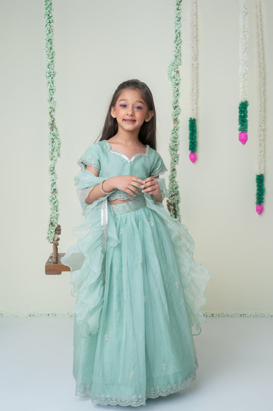 Emerald Grace - Embroidered Organza Ghagra Set
