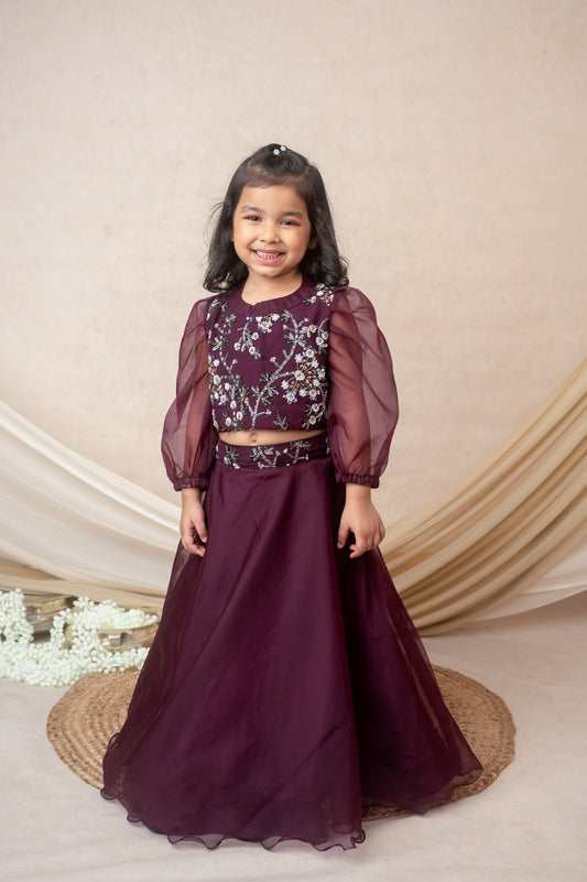 Vine Organza Skirt Set with Embroidered