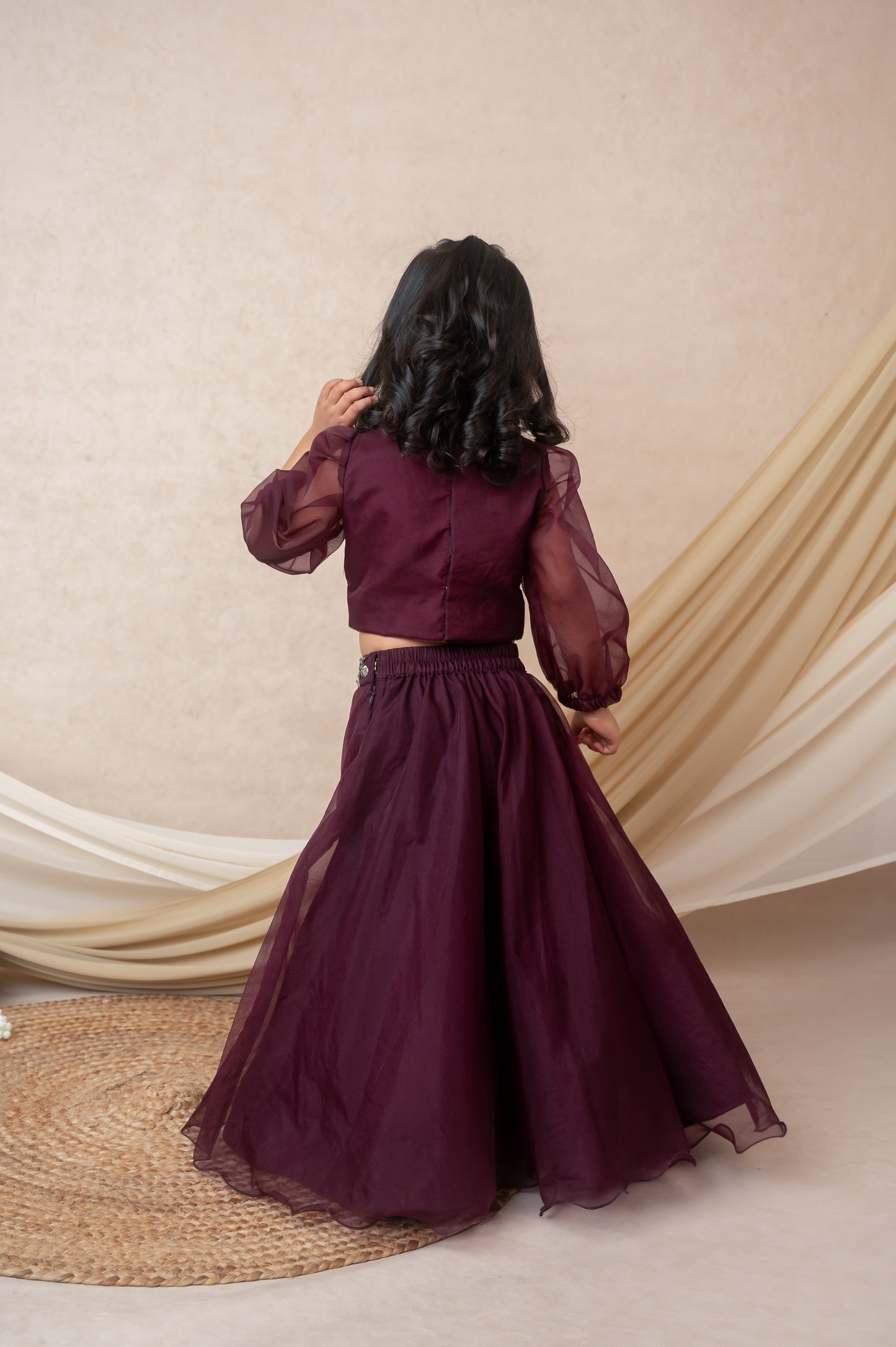 Vine Organza Skirt Set with Embroidered