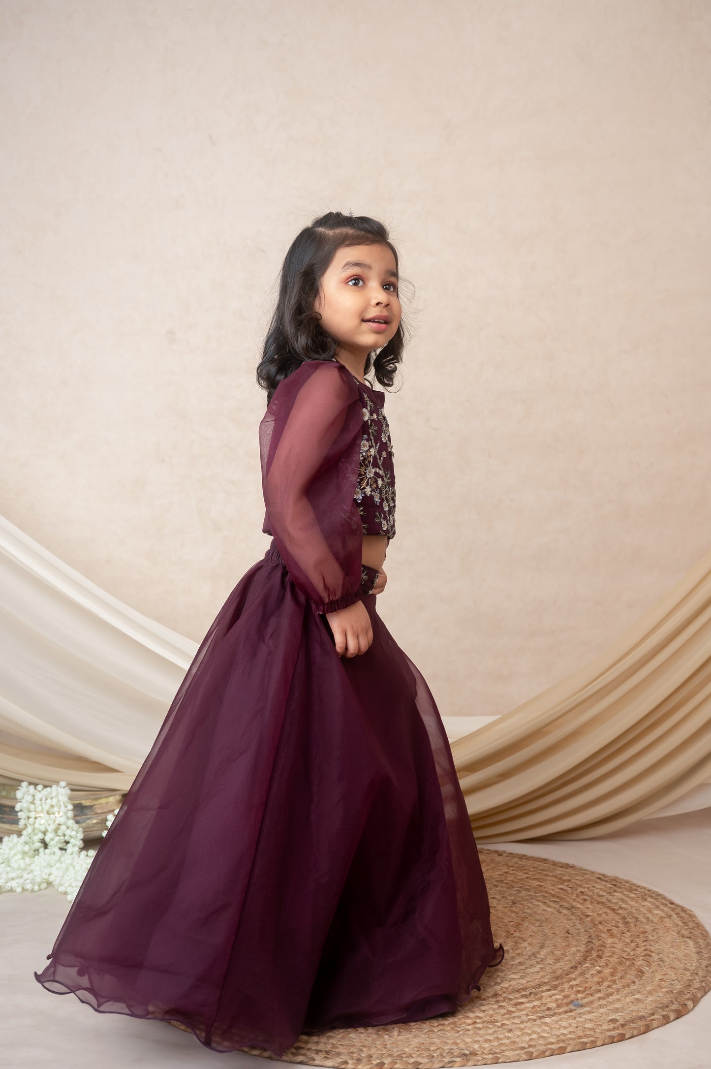 Vine Organza Skirt Set with Embroidered