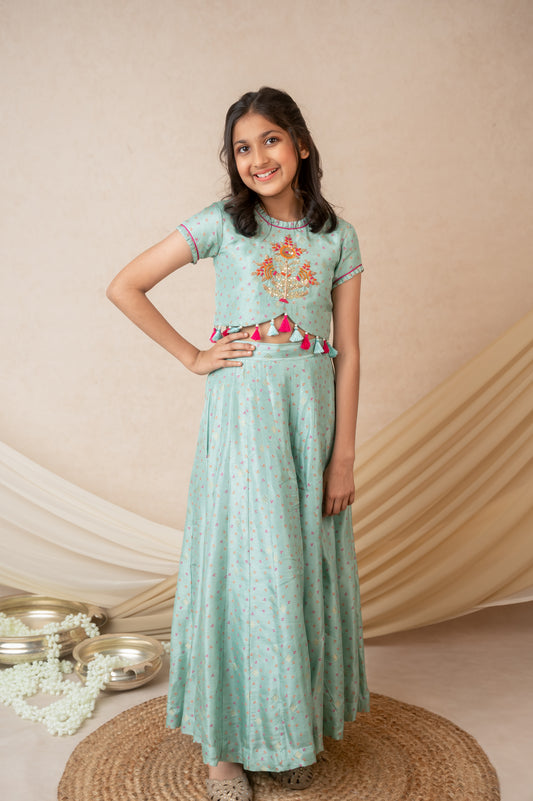 Blue Benarasi Silk Palazzo Set with Hand Embroidery & Tassels
