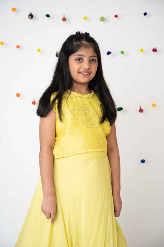 Lemon Pearl Dream – Hand-Embroidered Skirt Set